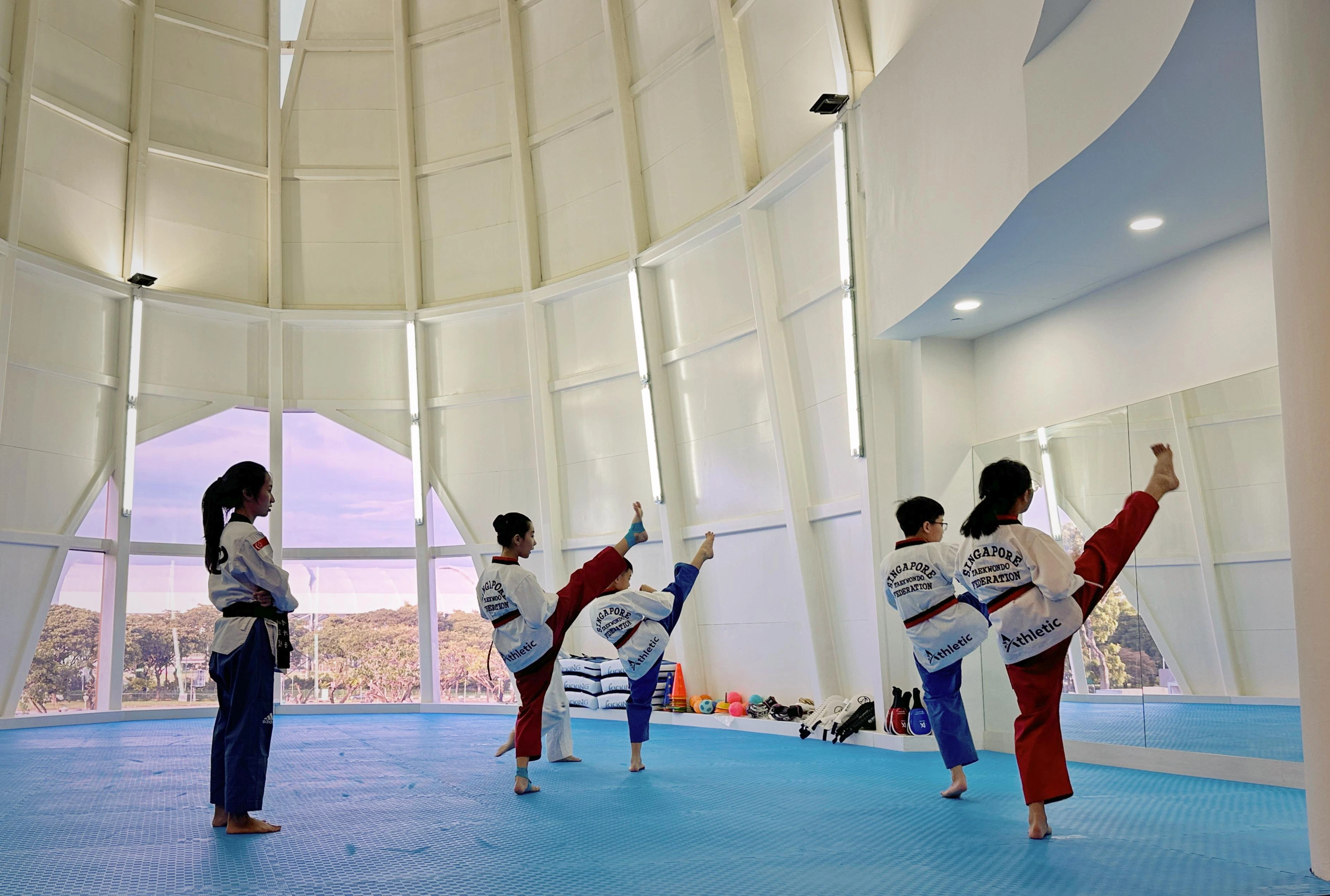 Taekwondo Competition Training